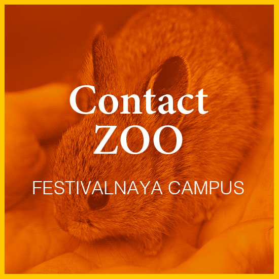 Contact zoo