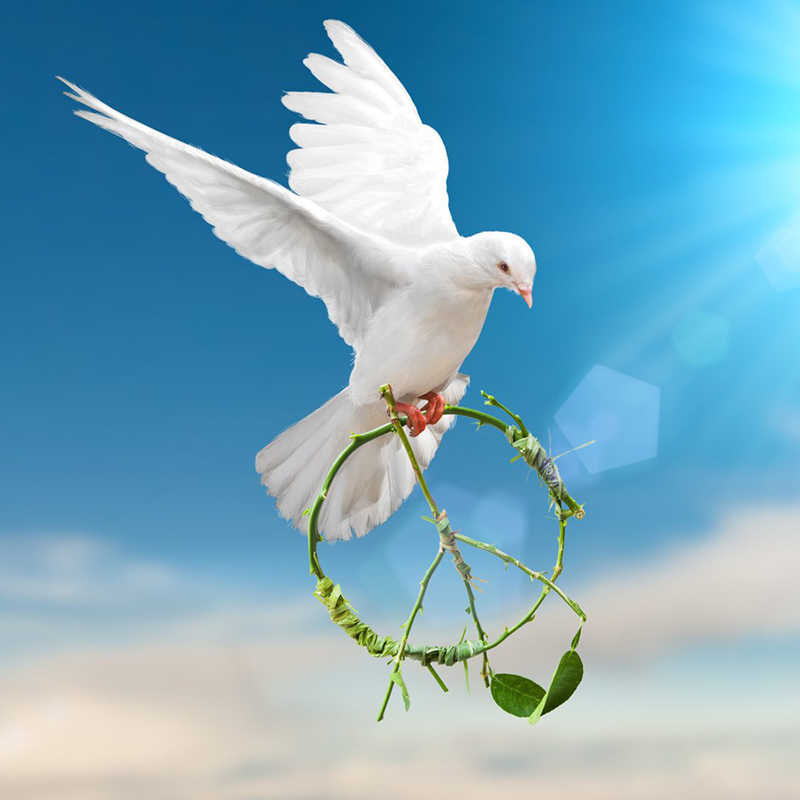 Value of the month – Peace