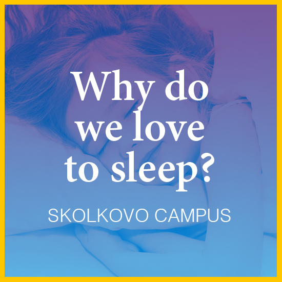 Why do we love to sleep?